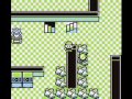 Pokemon Blue - Random Glitching And Hacking 10