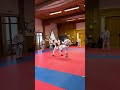 Watanabe-Sensei on the use of backfoot and hip during front leg kicking