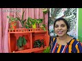 വീടിനുള്ളിൽ വെള്ളത്തിൽ വളർത്താവുന്ന 15 തരം ചെടികൾ | 15 amazing indoor water plants |Malayalam |
