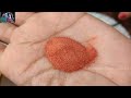 किचन मे रोज घंटों के काम को करे चुटकियों मे इन 6 तरह के मसालों से। 6Types of Homemade Powder/Masala.