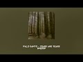 Palo Santo - years and years spedup ఌ