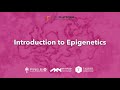Introduction to epigenetics - Learn.OmicsLogic.com