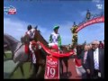 Melbourne Cup 2015  - Prince Of Penzance