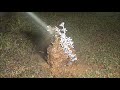 Casting a Fire Ant Colony with Molten Aluminum (Cast #043)