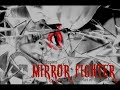 Mirror Fighter