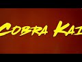I edited Cobra Kai because Johnny Lawrence 😂