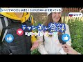 【外国人インタビュー】ロンドン駅員が見た！日本の地下鉄の最も驚いたこと！素晴らしい〇〇【海外の反応】