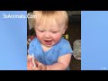Cute Babies Walking For The First Time 🤣 Precious Moments Video