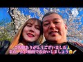 [ BEAUTY OF JAPAN CHERRY BLOSSOM ] AMAZING EXPERIENCE SAKURA 2024🌸 Shakujii paek『フィリピーナ国際カップル』