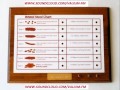 THE BRISTOL STOOL CHART