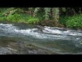 Fantastic sound of Clear water flowing peacefully from the mountains learning,sleeping,healing,ASMR