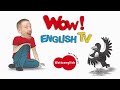 Monster Trucks Toys for Children + MORE Stories for Kids | Steve and Maggie by Wow English TV