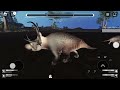 Diabloceratops Showcase! | Prior Extinction!