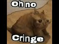 Cringe cat