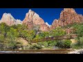 Zion Canyon and Zion National Park: How to Visit, What to See