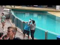 Tom the Mime's Hilarious SeaWorld Antics! 😂 | Tom the Mime