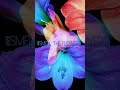 Smell The Flowers Preview - Release Friday, August 18