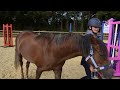 POPCORN CHOOSES OUR BABY PONY'S NAME!