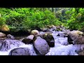 Help You Find Tranquility ~ Mountain River Sounds ~ Soothing Water White Noise