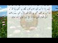 Bechara Dewar Heart Touching & Emotional Story || Sachi kahaniyan || Urdu Kahaniyan || Urdu Story593