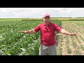 Soil School: How nutrients move and the impact on fertilizer management