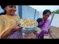 நம்ம வீட்டுல வேர்க்கடலை அறுவடை பண்ணியாச்சு 😍| Garden Harvest 🤣| Vinoth Seetha