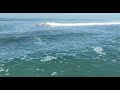 MORNING DRONE AT RIVER MOUTH DEL MAR