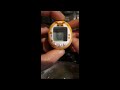 It's an Eevee Tamagotchi! How to care for guide