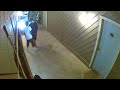 Thieves Stealing my Neighbors Bicycle(4)