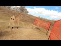 Shooting Stage 3 at the 2021 Gulf Coast IDPA Championship