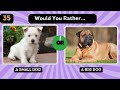Would You Rather...? 😱 ANIMALS Edition 🐱🐶 || Tutor Christabel