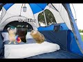 Camping roadtrip! CAT MEMES