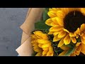 Sunflowers (SevenMV)