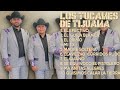 El Tucanazo-Los Tucanes de Tijuana-Year's standout tracks-Hyped