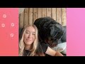 Giant Rottie Brings Woman Gifts For Attention | Cuddle Buddies