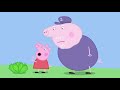 Peppa Wutz ⭐ Tolle Zusammenstellung 4 ⭐ Peppa Pig Deutsch Neue Folgen | Cartoons für Kinder