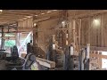 Sawing junky pine #61