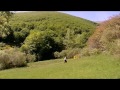 Vive la Vía - La Vía Verde de la Sierra de la Demanda (Completo)