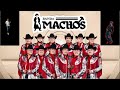 Banda Machos - Puras Cumbias. #musicamexicana #musicabanda #tecnobanda