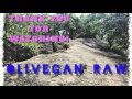 MY FIRST VLOG! What my days are like! - Olivegan Raw