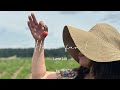 Farm Day | Strawberry picking | Easy lemonade.