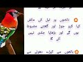 Heart Touching Motivation |Trending Quotes in Urdu |Best Life Quotes |Trending Urdu Quotes