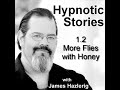 Hypnotic Stories 1.2:  More Flies with Honey