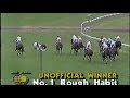 1993 All Aged Stakes - Rough Habit
