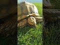 Let's enjoy some lettuce in the sunshine!