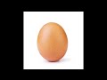 egg  jaje 1 hour 1 sat video