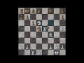 Abusing This Poor Player With Pins (1200 ELO CHESS)