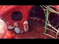 Rescue poor Rabbits with The Hobbit House | How to Building a Underground Shelters for Baby Rabbits
