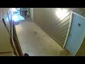 Thieves Stealing my Neighbors Bicycle(1)