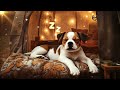 Anti-anxiety music for dogs 🐶 Calming music for dogs ♬ Deep sleep for dogs💖🎵